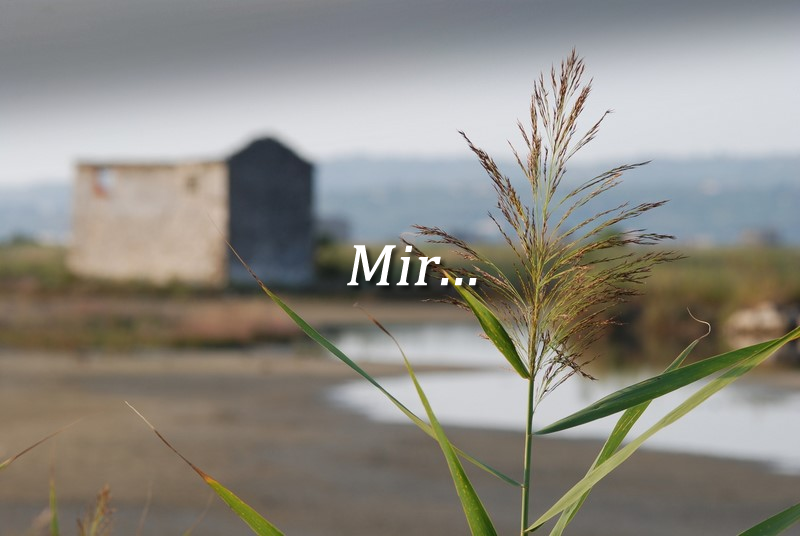 LOČITEV NAJ BI BIL ZADNJI KORAK …