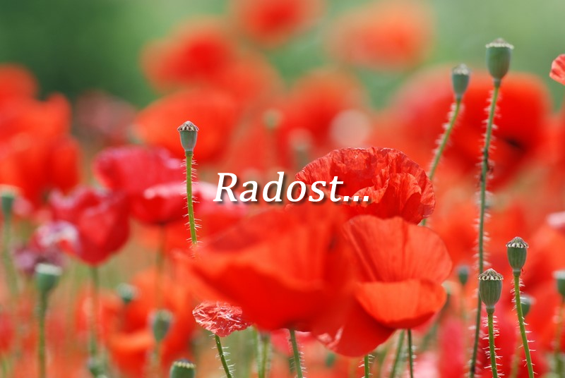 ZAZNAMOVANO OTROŠTVO